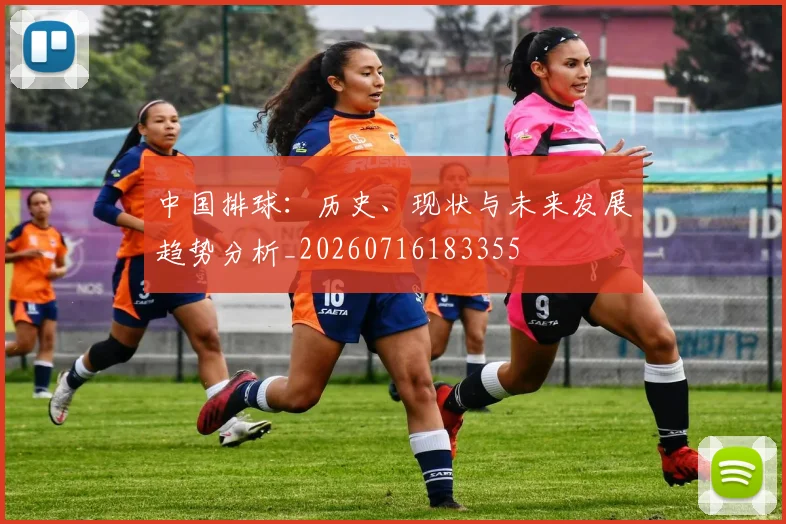 中国排球：历史、现状与未来发展趋势分析_20260716183355