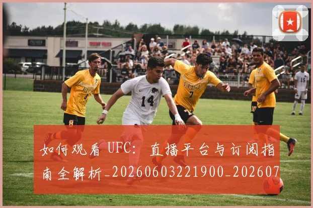 如何观看 UFC:直播平台与订阅指南全解析_20260603221900_20260703230706