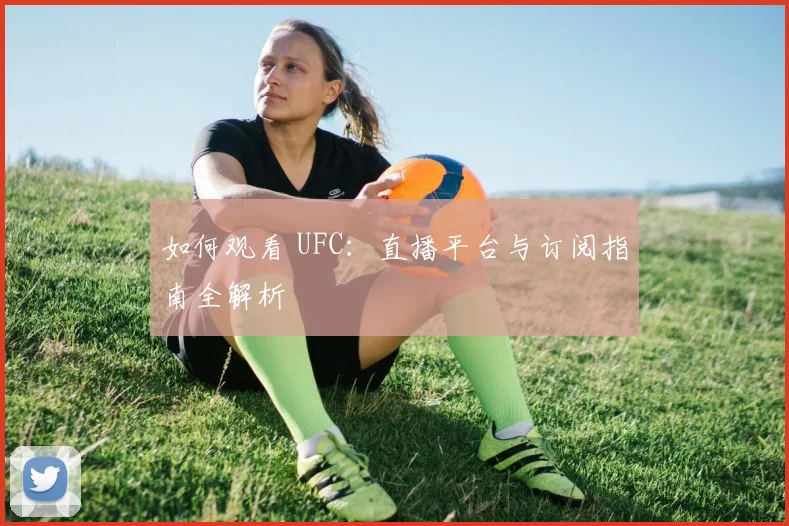 如何观看 UFC:直播平台与订阅指南全解析
